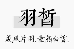 羽皙名字的寓意及含义