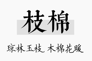 枝棉名字的寓意及含义