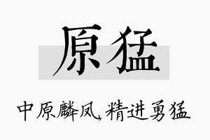 原猛名字的寓意及含义