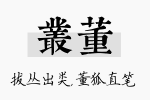 丛董名字的寓意及含义