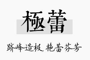 极蕾名字的寓意及含义