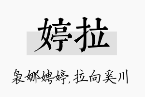 婷拉名字的寓意及含义