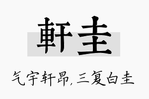 轩圭名字的寓意及含义