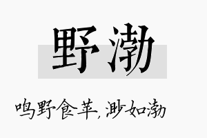 野渤名字的寓意及含义