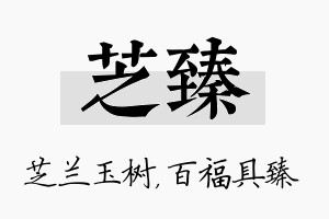 芝臻名字的寓意及含义