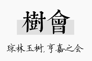 树会名字的寓意及含义