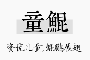 童鲲名字的寓意及含义