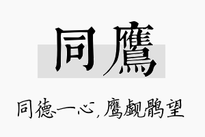 同鹰名字的寓意及含义