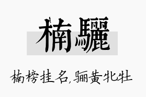 楠骊名字的寓意及含义