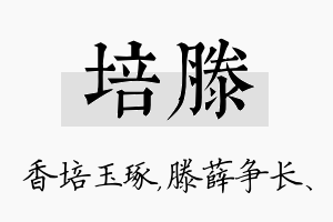 培滕名字的寓意及含义