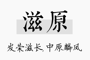 滋原名字的寓意及含义