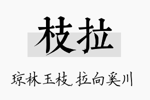 枝拉名字的寓意及含义