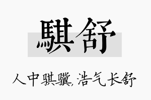 骐舒名字的寓意及含义