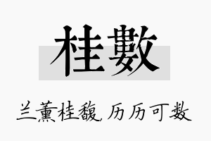 桂数名字的寓意及含义