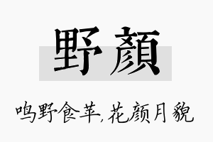 野颜名字的寓意及含义