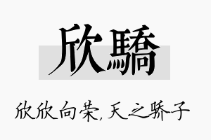 欣骄名字的寓意及含义