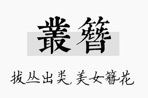 丛簪名字的寓意及含义