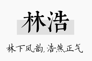 林浩名字的寓意及含义