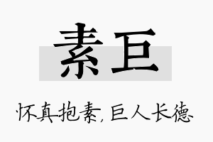 素巨名字的寓意及含义