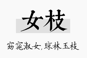 女枝名字的寓意及含义