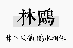 林鸥名字的寓意及含义