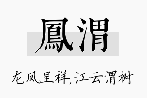 凤渭名字的寓意及含义