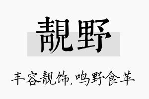 靓野名字的寓意及含义