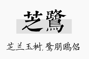 芝鹭名字的寓意及含义