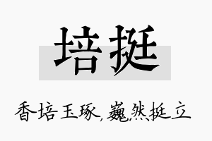 培挺名字的寓意及含义