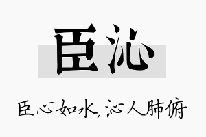 臣沁名字的寓意及含义