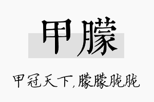 甲朦名字的寓意及含义