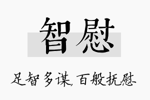 智慰名字的寓意及含义