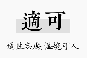 适可名字的寓意及含义