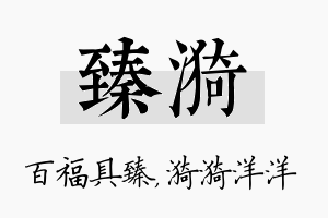 臻漪名字的寓意及含义