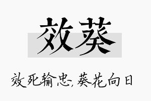 效葵名字的寓意及含义