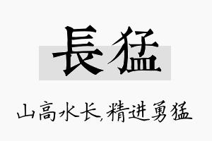 长猛名字的寓意及含义