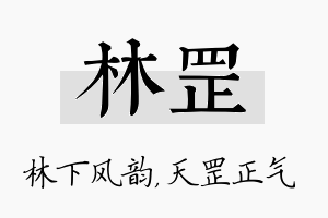 林罡名字的寓意及含义