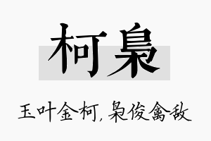 柯枭名字的寓意及含义