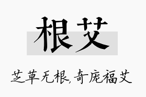 根艾名字的寓意及含义