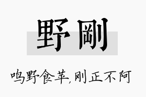 野刚名字的寓意及含义