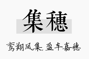 集穗名字的寓意及含义