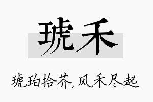 琥禾名字的寓意及含义