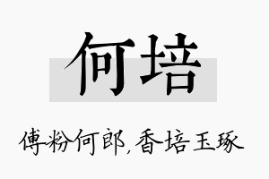 何培名字的寓意及含义