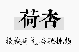 荷杏名字的寓意及含义