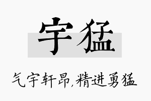 宇猛名字的寓意及含义