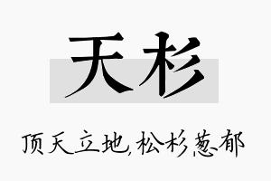 天杉名字的寓意及含义