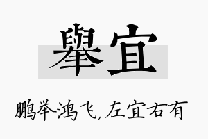 举宜名字的寓意及含义