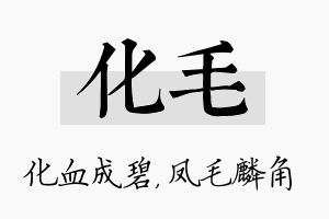 化毛名字的寓意及含义