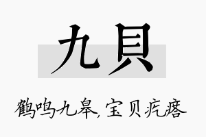 九贝名字的寓意及含义