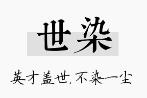 世染名字的寓意及含义